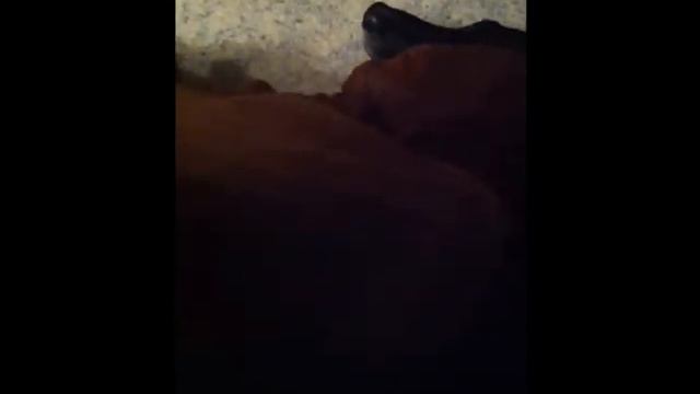 Jack Is Brave - Mostly смотреть онлайн