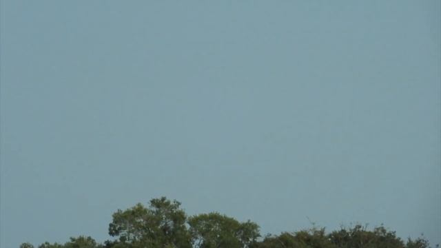 South African Safari - Addo National Park смотреть онлайн