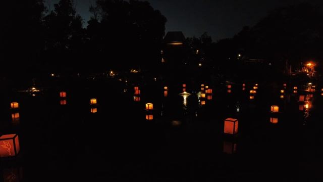 LANTERN CEREMONY - San Diego Zoo Safari Park | Autumn Festival - Music and Color Light Show | 4K смотреть онлайн