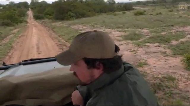 Pt 2 Safari Live's Sunrise Safari Drive at 7:00 AM on Dec 21, 2017 смотреть онлайн