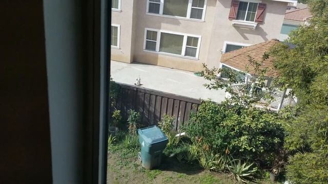 How To Install 2" Cordless Faux Wood Window Blind + Actual Test! 1 21 2019 смотреть онлайн