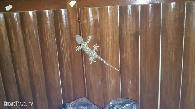 Life On Phu Quoc Island - Bambusa Resort 2020 - Vietnam Travel Vlog - Www.phuquoc.createtravel.tv