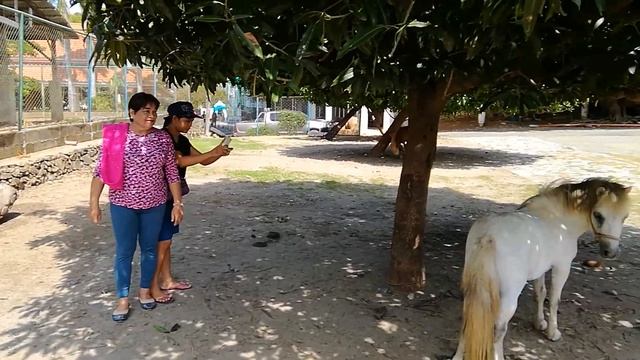 BALUARTE ZOO AND SAFARI GALLERY, VIGAN смотреть онлайн