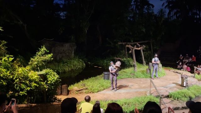 Creatures of the Night | Mandai Night Safari | Singapore | Simplylams смотреть онлайн