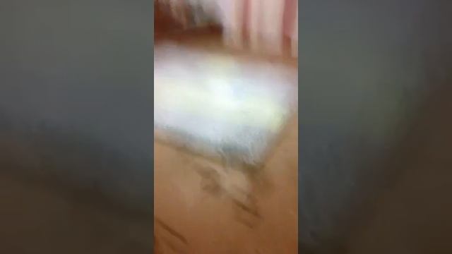 В гостях у сестер смотреть онлайн