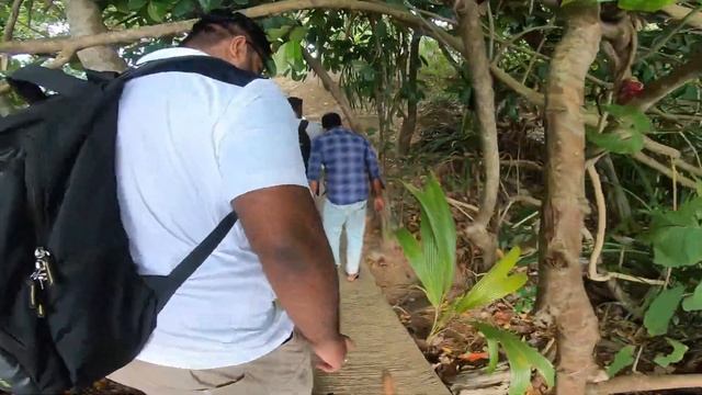 Boat Safari Sri Lanka - Ambalangoda Boat Safari #travelfreakviki #srilankavlog Cinnamon Island смотреть онлайн