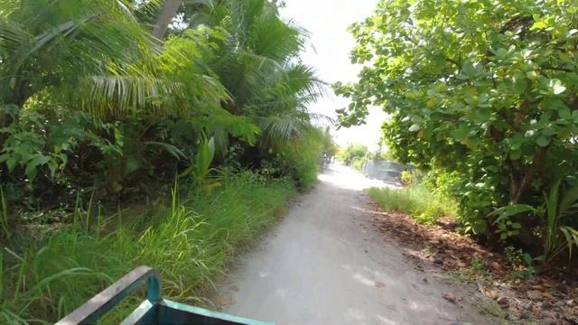 Island Video Clips from my DJI Osmo action Camera смотреть онлайн