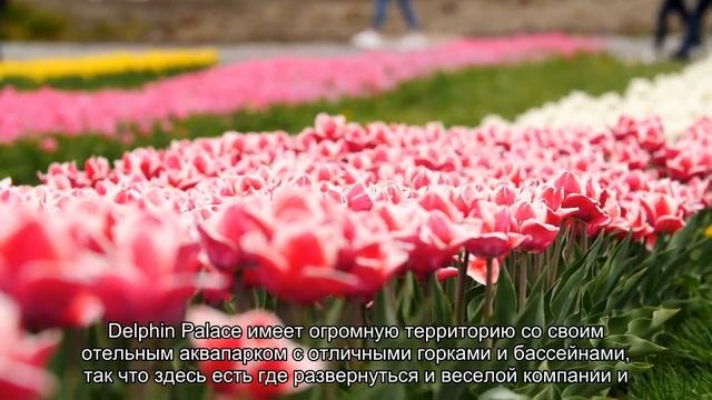 5 лучших отелей Турции смотреть онлайн