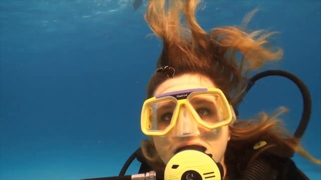 Red Sea Diving Safari - The Eco-diving Adventure смотреть онлайн