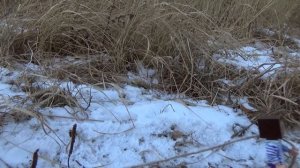 ВЫЖИВАНИЕ БОМЖА В РОССИИ 2 ! НУБ СТАЛ БОМЖ ! МАЙНКРАФТ В РЕАЛЬНОЙ ЖИЗНИ ! БОМЖ СДАЕТ БУТЫЛКИ !