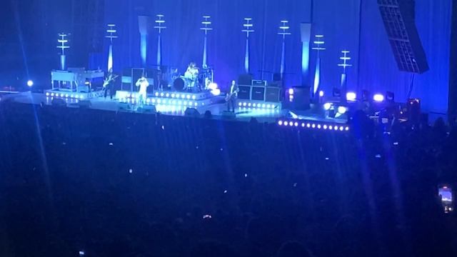 Greta Van Fleet- Safari Song LIVE смотреть онлайн