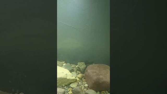 караси смотреть онлайн