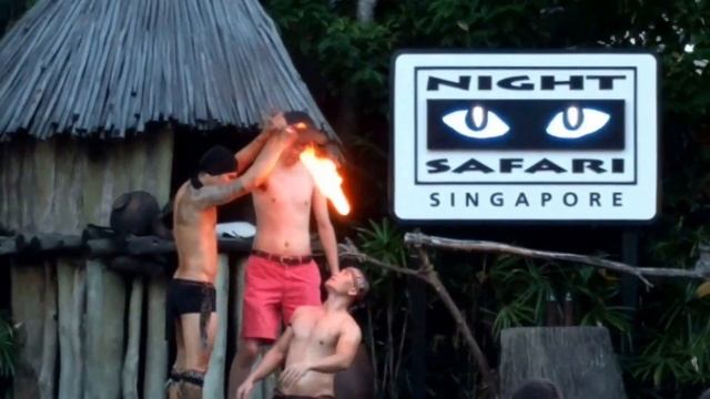 Thumbuakar Show at Night Safari Singapore смотреть онлайн
