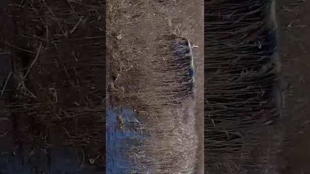 испытание новой резины смотреть онлайн