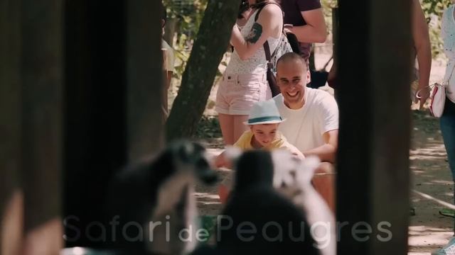 Safari de Peaugres, immersions en voiture et à pied смотреть онлайн