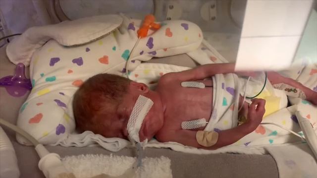 Baylor the Strong and Brave смотреть онлайн