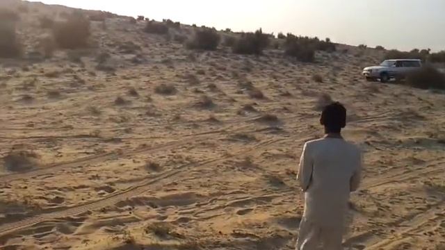 DESERT DRIVE KSA смотреть онлайн
