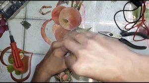 Предпусковой подогреватель Лунфей  LongFei 2квт (Разбираем)