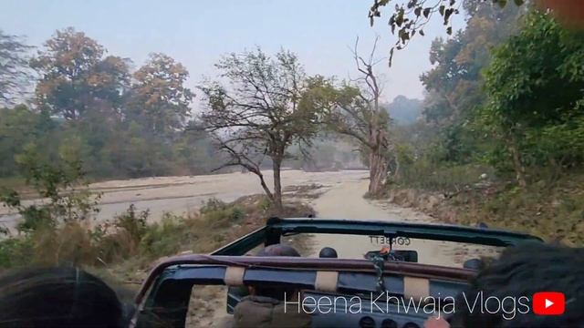 Tiger sighting🐅Bijrani Range/Zone | Jim Corbett National Park | Jeep Safari | Dhikala|Machaan Resor смотреть онлайн