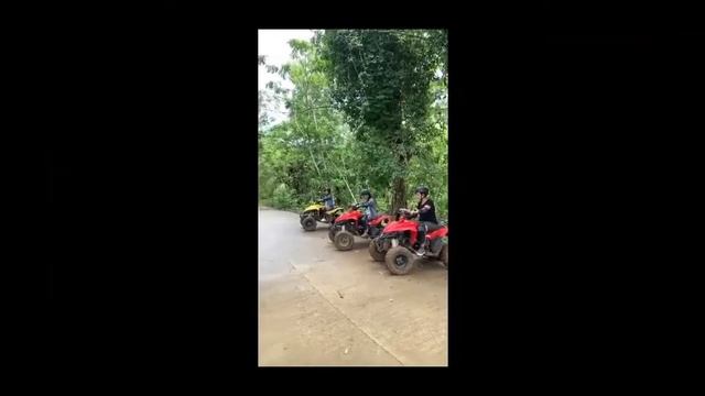 Cebu Safari Adventure Camp 2022 смотреть онлайн