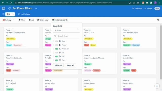 Data Blaze Views Overview смотреть онлайн