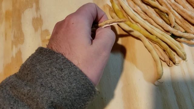 Episode 107 Green Bean Seeds смотреть онлайн