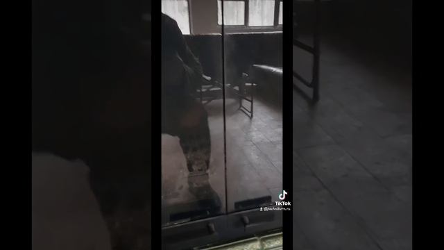 Каминная дверка смотреть онлайн