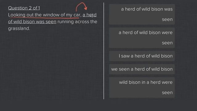 A heard of bison looking out my window on the SAT.mp4 смотреть онлайн