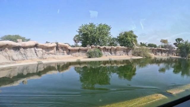 Dubai Safari Park , adventure is waiting for you смотреть онлайн
