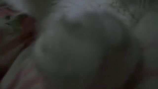 Мой кот Пушок! ;) смотреть онлайн