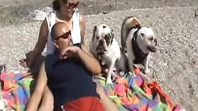 bulldogs N akitas @ saguaro lake смотреть онлайн