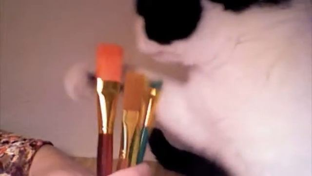 Testimonial from Finn смотреть онлайн