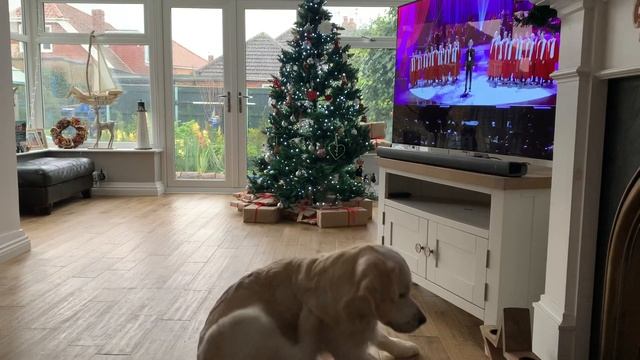 Opera Dog Singing Christmas Songs - Part 5 смотреть онлайн