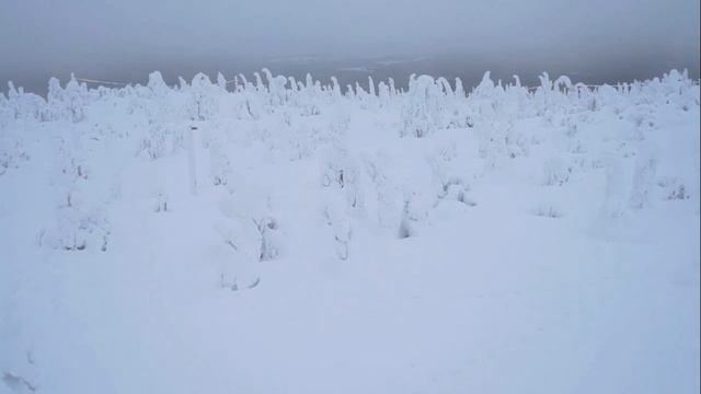 Syöte talvi - Suomen eteläisin tunturi | Metsähallituksen Laatumaa-tontit смотреть онлайн