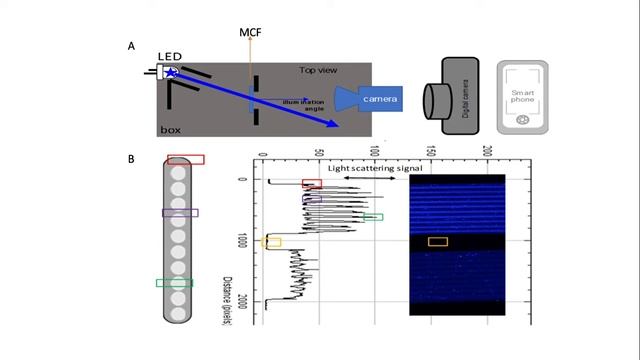 ily phage presentation pptx Google Chrome 2020 07 03 12 59 26 смотреть онлайн
