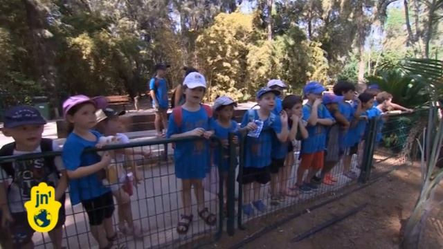 Zoo Animals Cool Off as Temperature Soars in Israel: Ramat Gan Safari Zoo Animals enjoy Ice Cubes смотреть онлайн