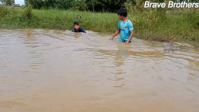 Terrifying! Brave Brothers Catch Crocodile While Fishing With Fishing Net - How To Catch Crocodile смотреть онлайн