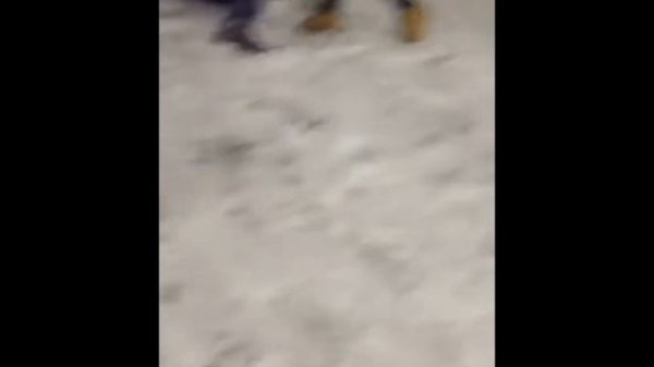 T Fest - La Vida Loca