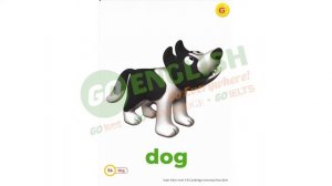 Từ vựng Unit 6 - Super Safari 3