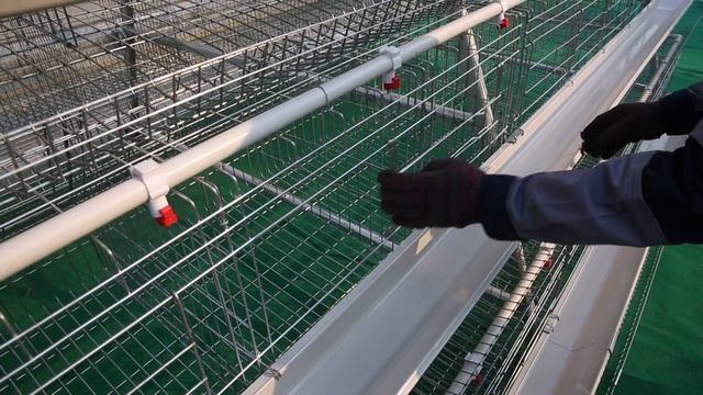 Демонстрация открывания и закрывания двери клетки смотреть онлайн