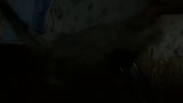 норка спит.2 смотреть онлайн