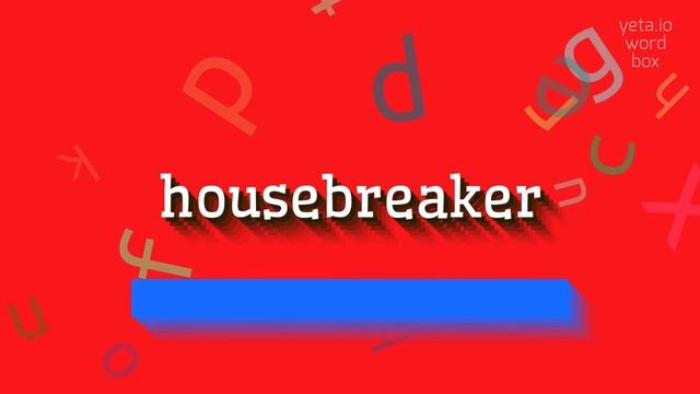 HOUSEBREAKER - HOW TO PRONOUNCE HOUSEBREAKER? #housebreaker смотреть онлайн