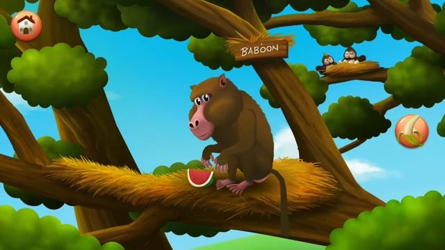 Kids Learn Feeding Wild Animals - Feeding Time Safari - Fun Educational Game for Children смотреть онлайн