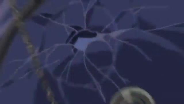 Kaitou Joker Amv - We are the Brave смотреть онлайн