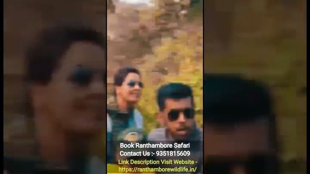 Ranthambore Tiger Safari Video 2021 | Ranthambore Safari Booking | Ticket Book Kaise Kare смотреть онлайн