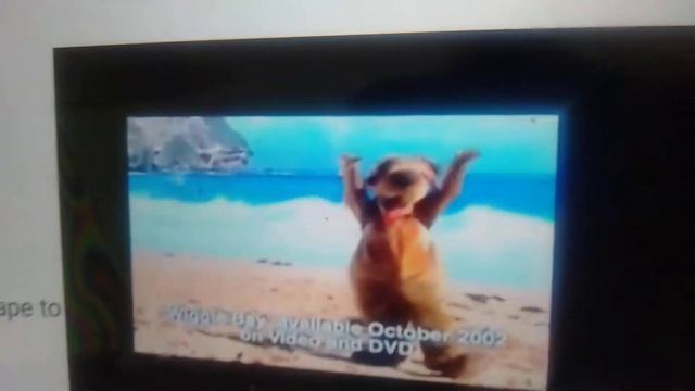 Opening to The Wiggles: Wiggly Safari (2002) 2002 DVD Australia смотреть онлайн