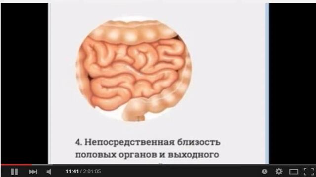 КУЛЬТУРА И ЗДОРОВЬЕ для взрослых смотреть онлайн