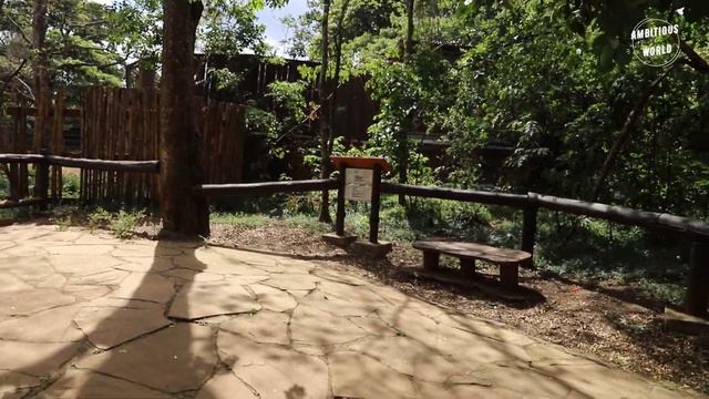 Epic Safari Adventure - A Day Out! смотреть онлайн