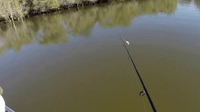 Kafue River, Zambia Fishing Trip
