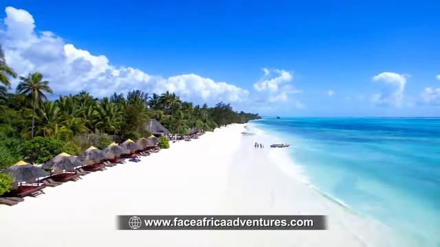 Adventure in Tanzania 2018 by face of africa adventures, смотреть онлайн